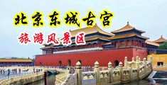 闻屄5359p中国北京-东城古宫旅游风景区